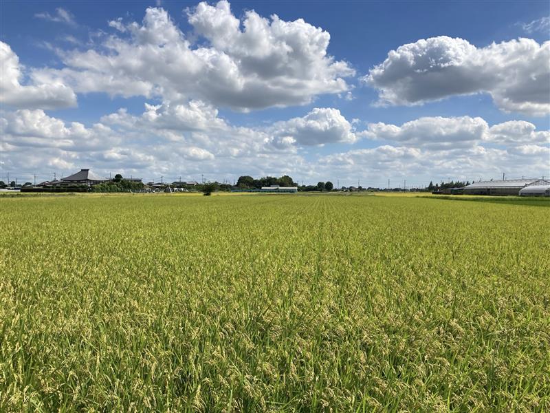 BASFとNEWGREEN、「xarvio® HEALTHY FIELDS」に土壌改善AIサービス「Humus」を組み込み、日本初の収量保証型サービスを提供開始