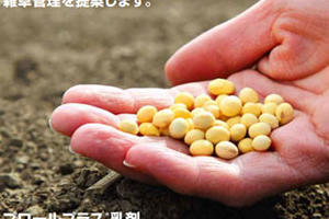 大豆生産者向けソリューション | BASF農薬