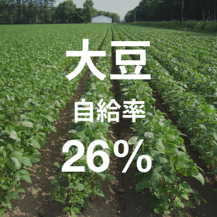 大豆自給率26%