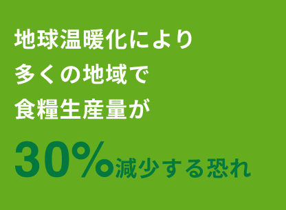 地球温暖化により多くの地域で食糧生産量が30%減少する恐れ