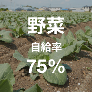 野菜自給率75%